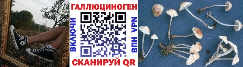 гидра сайт Кувандык Псилоцибиновые грибы мицелий где можно купить наркотик